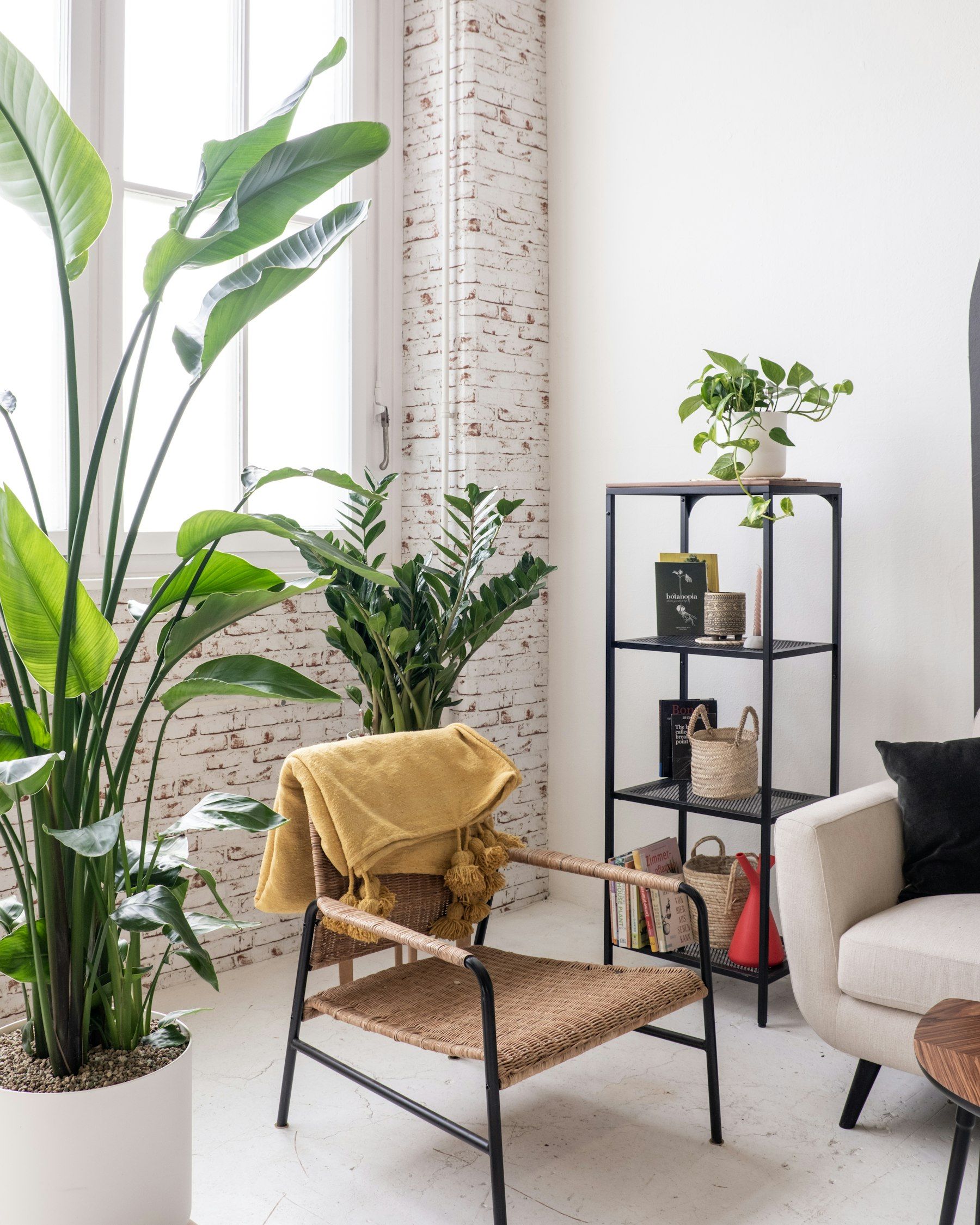 Le cabinet, une pièce lumineuse avec des plantes